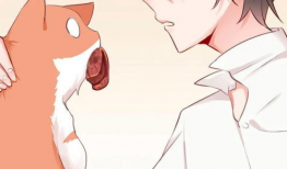 束缚游戏动漫,探寻心灵禁锢的奇幻旅程